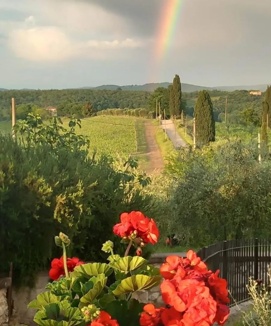 Casa Il Cipresso Villa Castelnuovo Berardenga